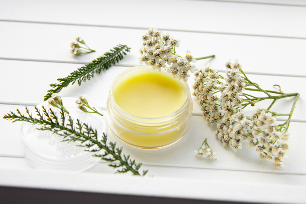 Słoiczek naturalnej maści ziołowej otoczony świeżymi gałązkami krwawnika pospolitego