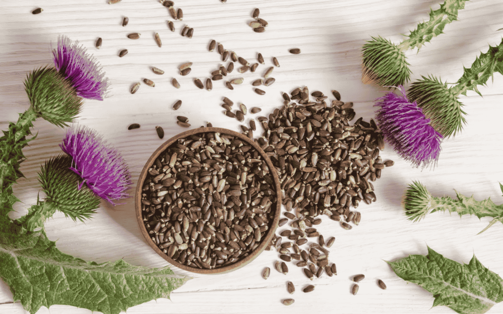 Brązowe nasiona ostropestu plamistego rozsypane na jasnym drewnianym blacie, część w drewnianej miseczce, obok świeże kwiaty ostropestu z fioletowymi płatkami i zielonymi liśćmi