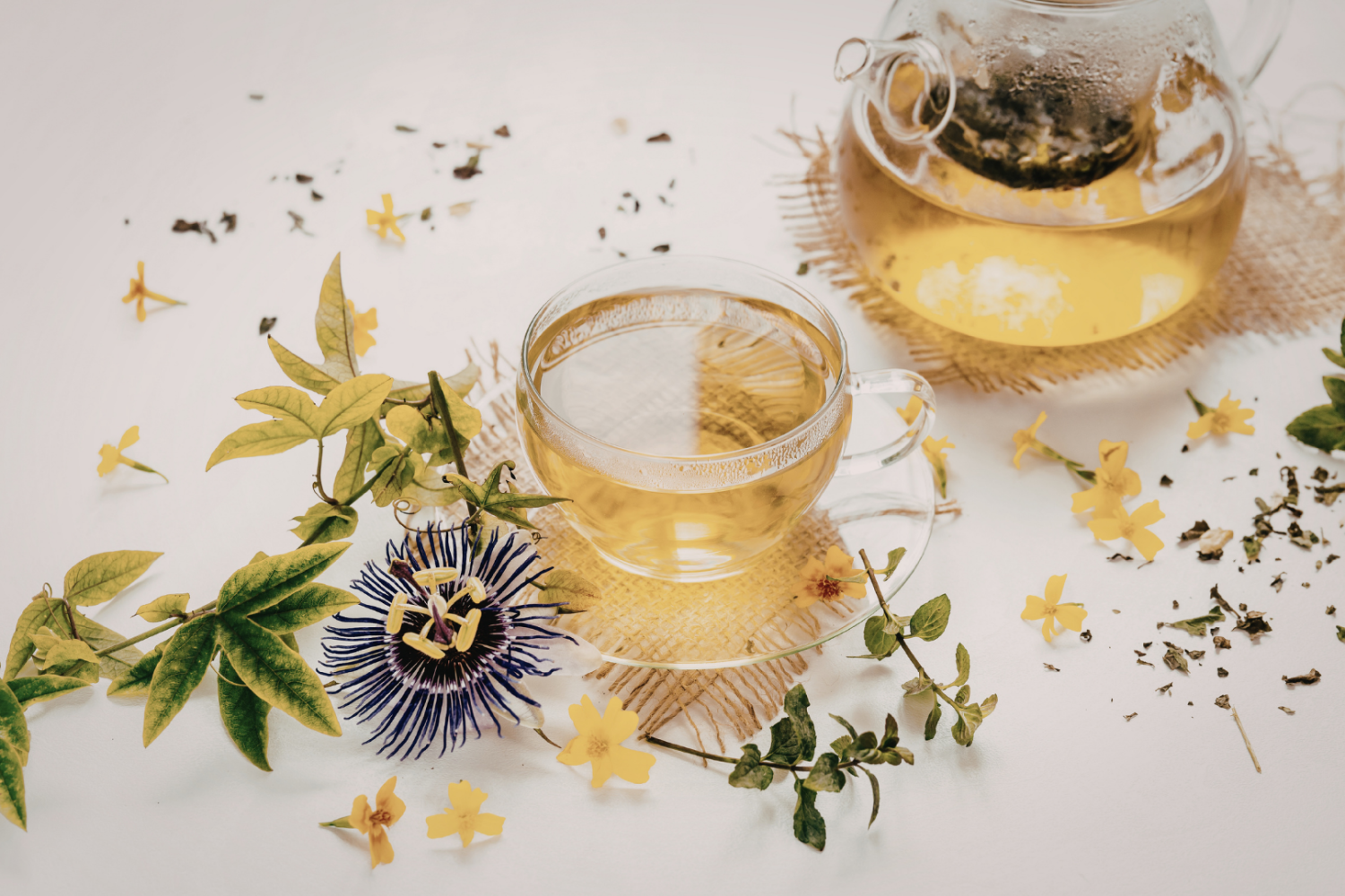 Szklana filiżanka i dzbanek z jasnym naparem stojące na jasnym tle, wokół rozłożone świeże i suszone zioła oraz kwiaty, w tym liście i żółte płatki