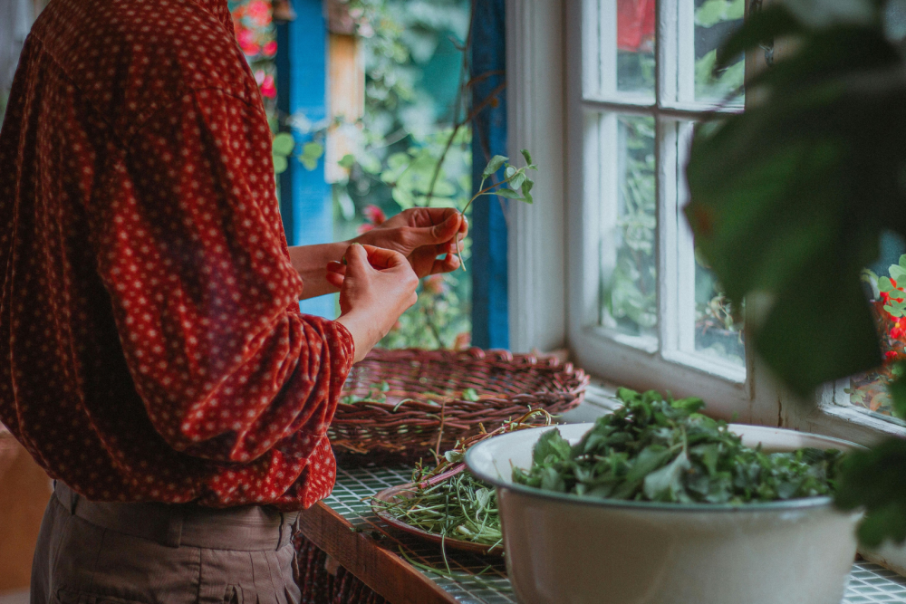 Osoba stojąca przy oknie, przygotowująca świeże zioła na kuchennym blacie, obok miska z liśćmi i wiklinowy koszyk