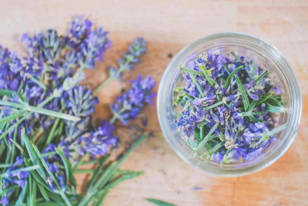 Świeże kwiaty lawendy rozsypane na drewnianym blacie oraz w szklanym słoiku