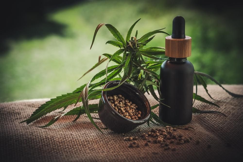 olejek cbd i konopia indyjska