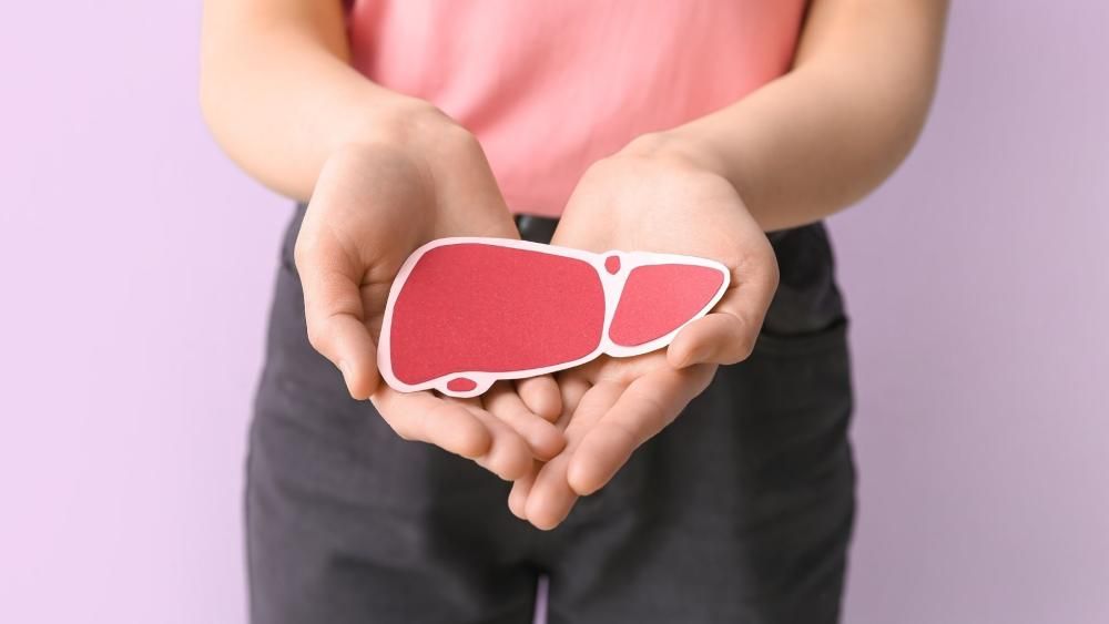 Kobieta trzyma w ręku papierowy model wątroby