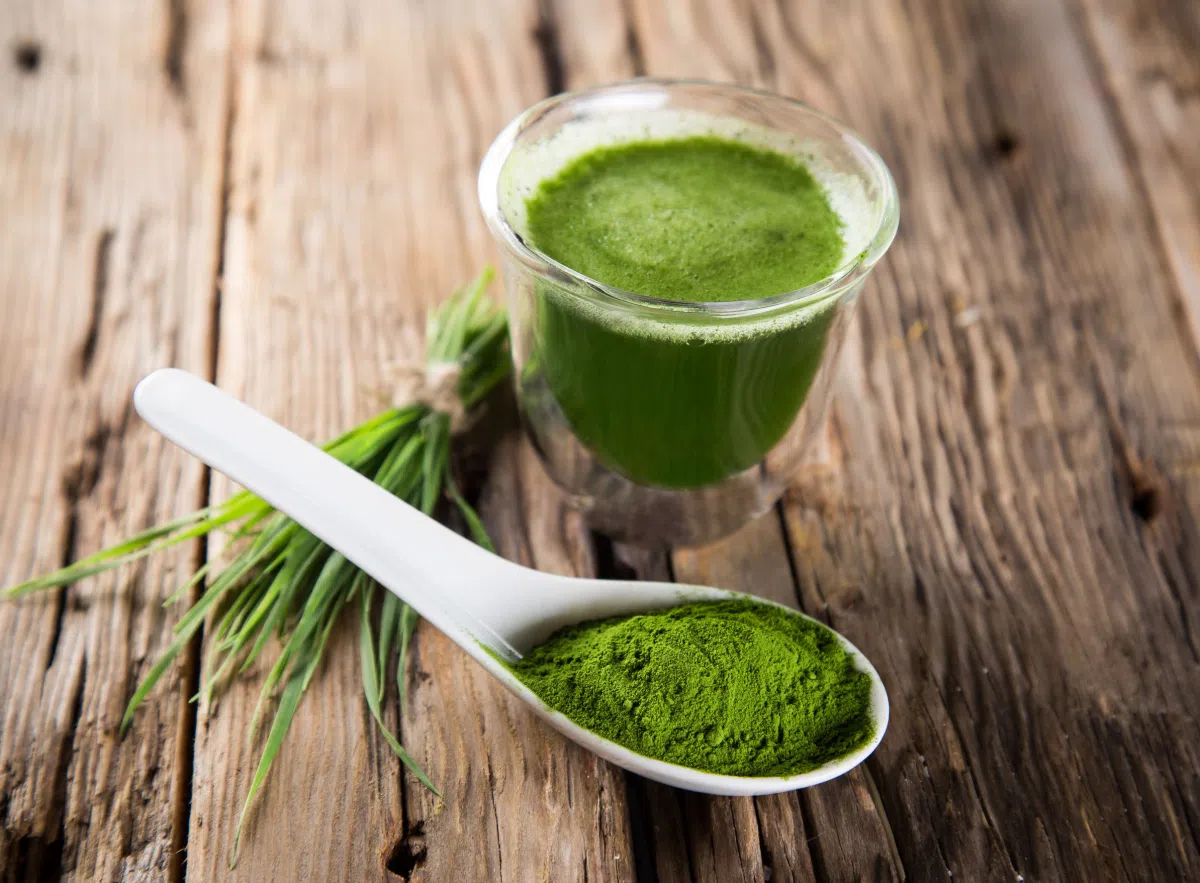 proszek z algi chlorella