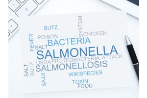 Napis salmonella na kartce
