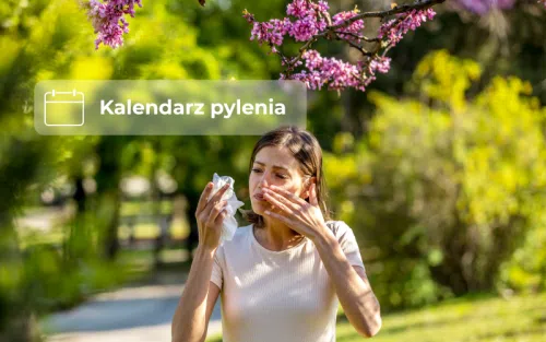 Co teraz pyli? Szczegółowy kalendarz pylenia dla alergików