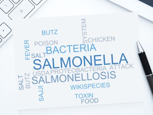 Salmonella: objawy, badania, leczenie, profilaktyka i powikłania