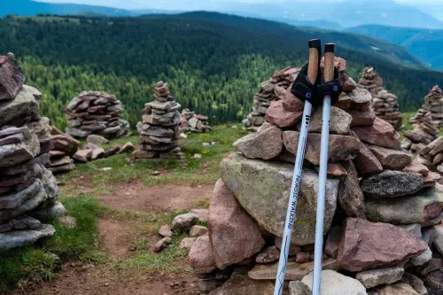Jesienny nordic walking: Idealny sport na chłodne dni