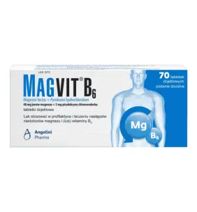 Magvit B6, tabletki dojelitowe, 70 szt