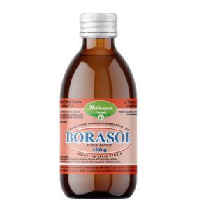 BORASOL 30 mg/g, 100 g roztworu
