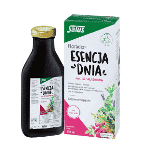 Floradix Esencja Dnia, płyn, 250 ml