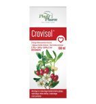 Cravisol, 2,313 g + 1,601 g + 0,694 g/5 ml, płyn doustny, 100 ml