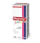 Magnefar B6 Junior, syrop, 120 ml