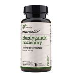 Buzdyganek naziemny, kaps., 90 szt