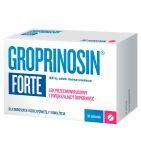 Groprinosin Forte, 1000 mg, tabletki, 30 szt.