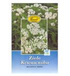 Ziele krwawnika, zioło pojedyncze, (Kawon), 50 g