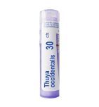Boiron Thuya occidentalis, 30 CH, granulki, 4 g