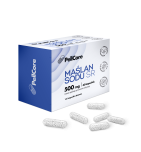 PellCore Maślan sodu SR, 500 mg, kaps.,60 szt