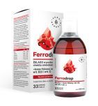 Ferradrop, żelazo + kwas foliowy, płyn, 500 ml