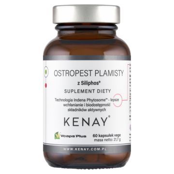 Ostropest plamisty z Siliphos, kaps.,60 szt