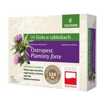 Ostropest plamisty forte, tabletki, 60 szt.