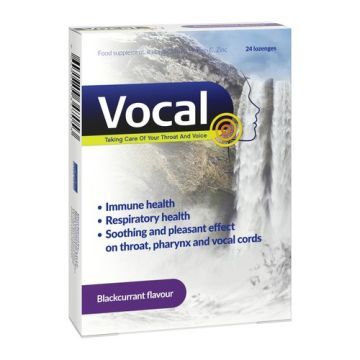 Vocal czarna porzeczka, pastylki do ssania, twarde, 24 szt.