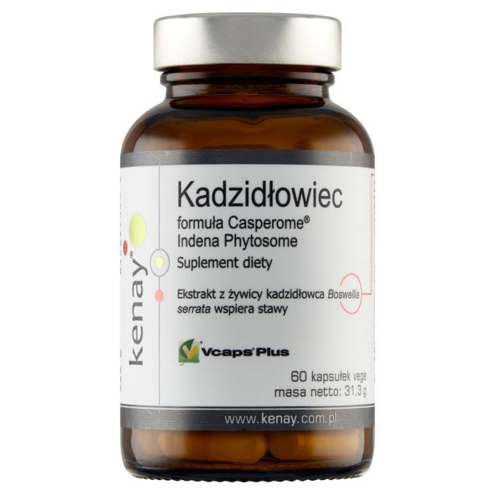 Kadzidlowiec formula Casperome Indena Phytosome, kaps.,60szt main product photo