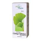 Tinctura Ginkgo bilobae Phytopharm, płyn doustny, 100 ml