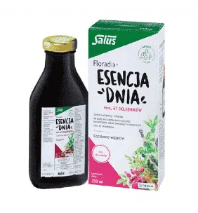 Floradix Esencja Dnia, płyn, 250 ml