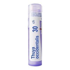 Boiron Thuya occidentalis, 30 CH, granulki, 4 g