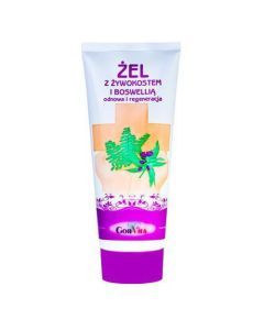 Gorvita, żel z żywokostem i boswellią, 200 ml