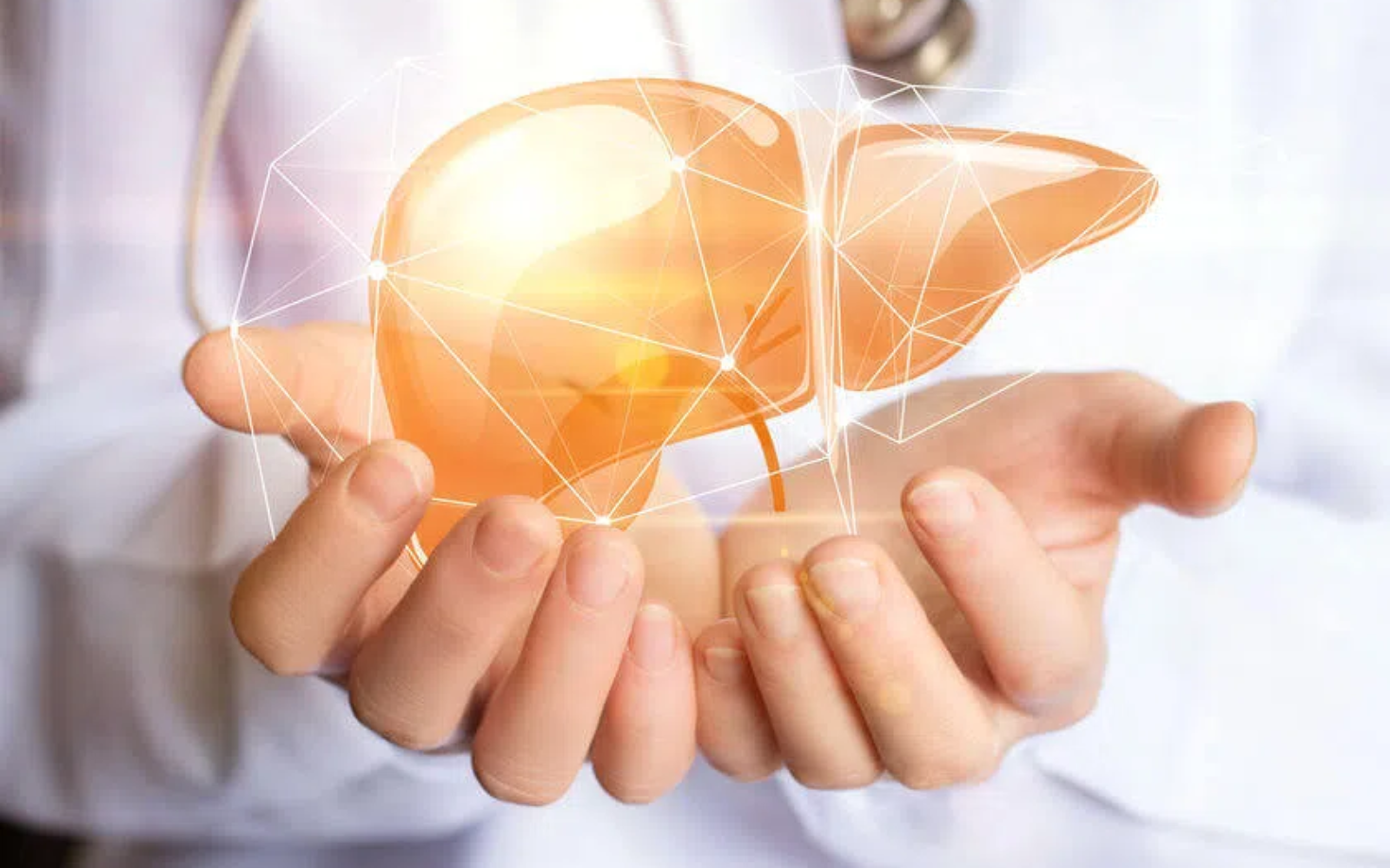 Model wątroby w kolorze bursztynowym unoszony na otwartych dłoniach, z widoczną graficzną siatką połączeń