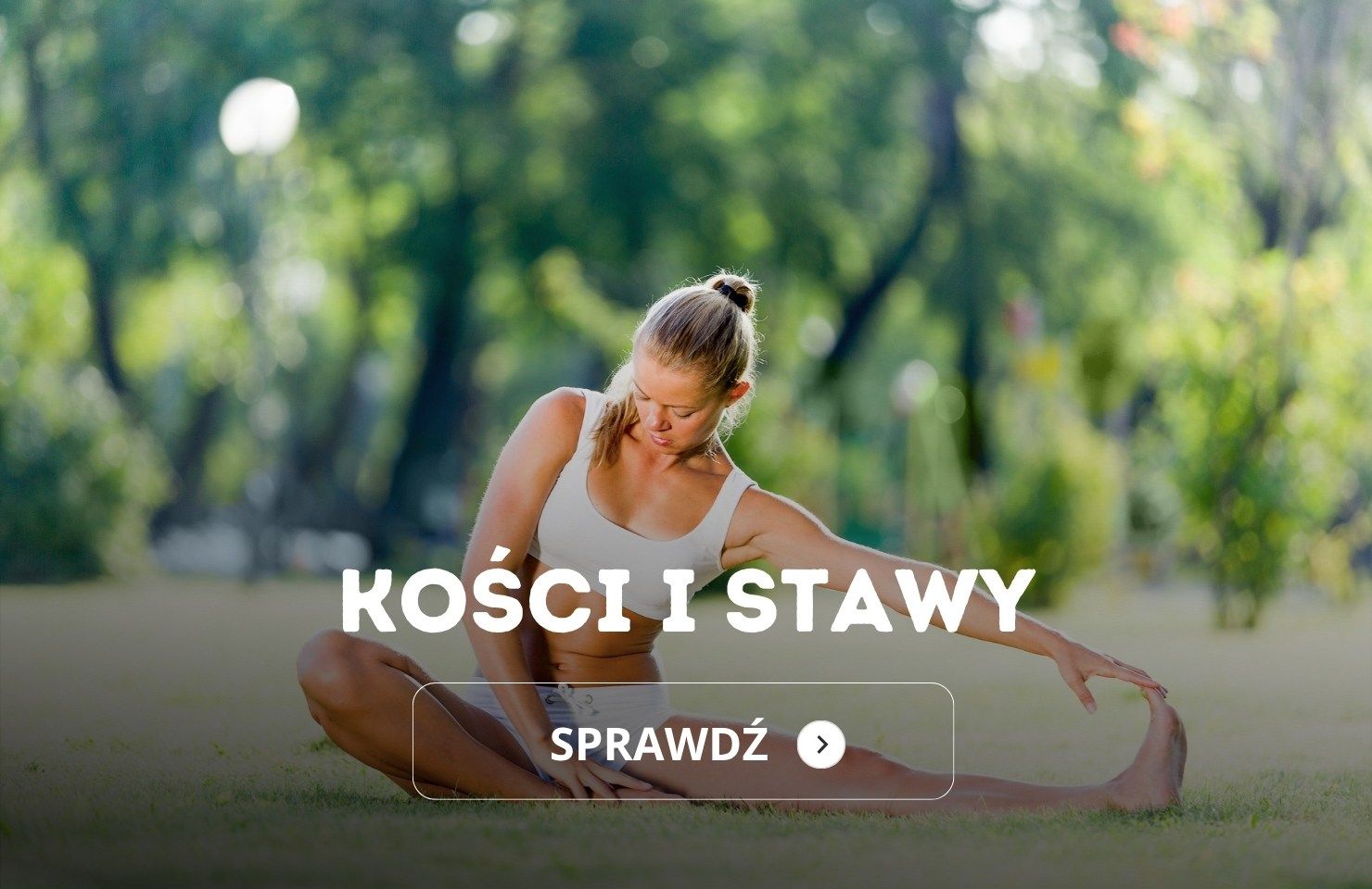 kości i stawy